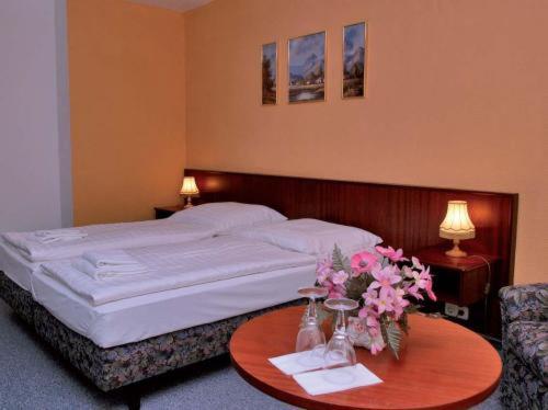 Landhotel Alt-Jocketa Pöhl Extérieur photo